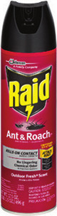 Raid