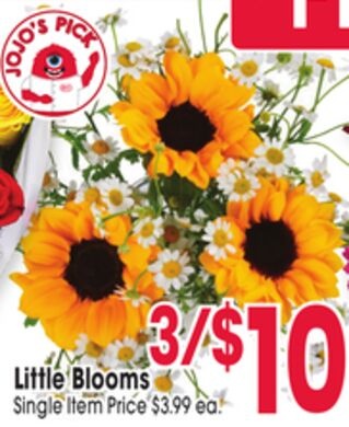 Little Blooms