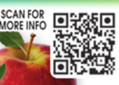Envy Apples