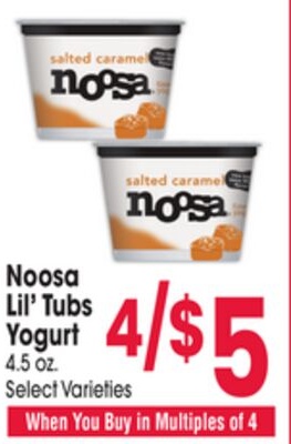 Noosa Lil' Tubs Yogurt