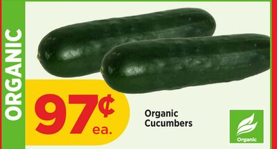 Organic Cucumbers