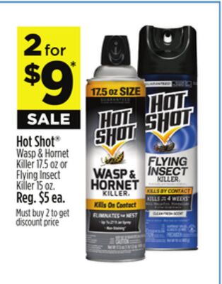 Hot Shot Wasp & Hornet Killer 17.5 oz or Flying Insect Killer 15 oz.