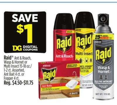 Raid® Ant & Roach, Wasp & Hornet or Multi Insect