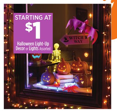 Halloween Light-Up Decor or Lights Assorted