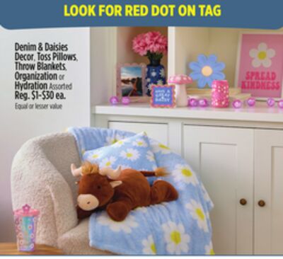 Denim & Daisies Decor, Toss Pillows, Throw Blankets, Organization or Hydration