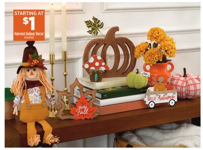 Harvest Indoor Deco