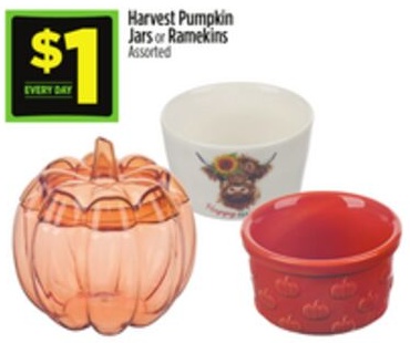 Harvest Pumpkin Jars or Ramekins