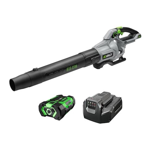 Cordless Leaf Blower
