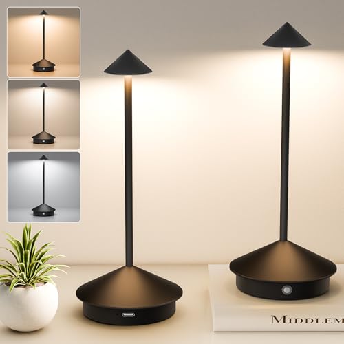 Cordless Table Lamp