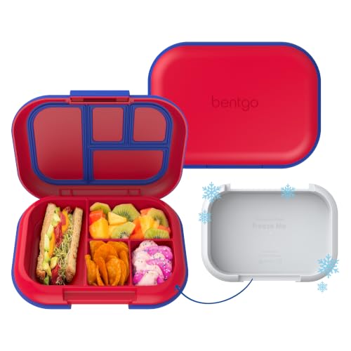 Kids Bento Lunch Box