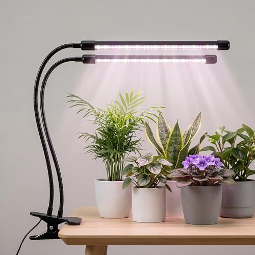 LED Grow Light