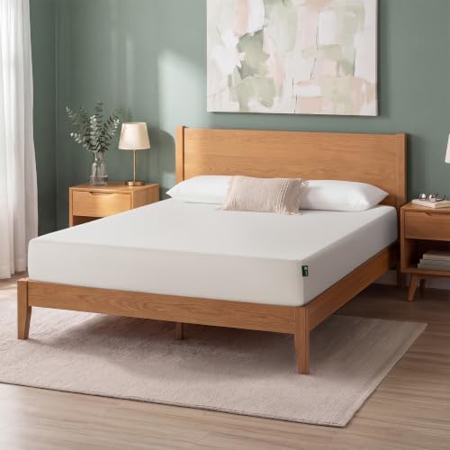 Queen Memory Foam Mattress