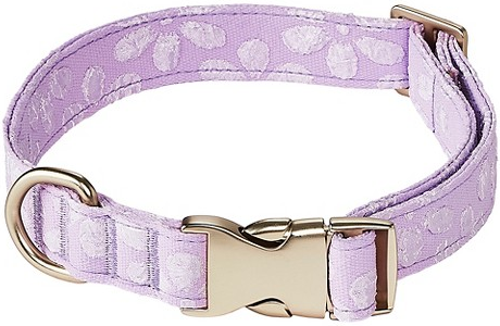 Boots & Barkley dog collar