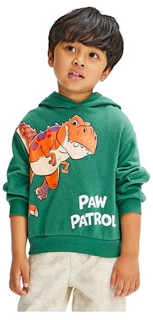 Toddler boys’ Paw Patrol short sleeve t-shirt & Dino hooded graphic sweatshirt