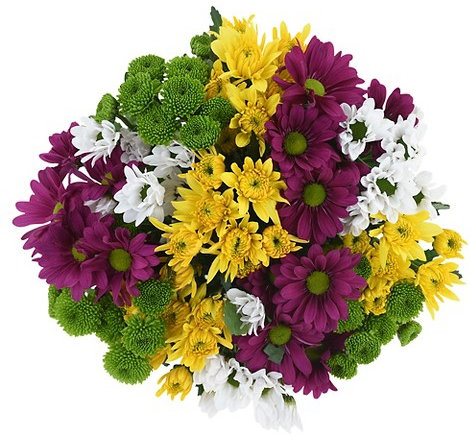Good Little Garden™ fresh rainbow pomps bouquet