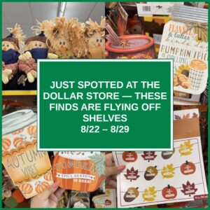Just Spotted at the Dollar Store — These Finds Are Flying Off Shelves (8/22 – 8/29)