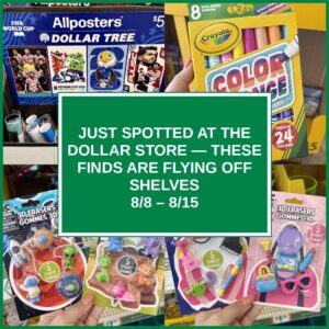 Just Spotted at the Dollar Store — These Finds Are Flying Off Shelves (8/8 – 8/15)