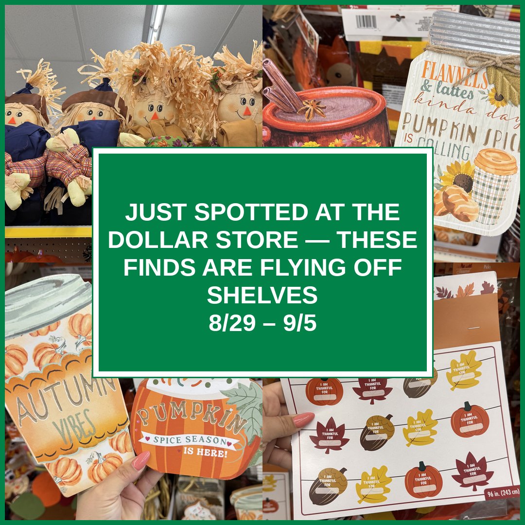 Just Spotted at the Dollar Store — These Finds Are Flying Off Shelves (8/29 – 9/5)