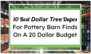 10 Best Dollar Tree Dupes For Pottery Barn Finds On A 20 Dollar Budget