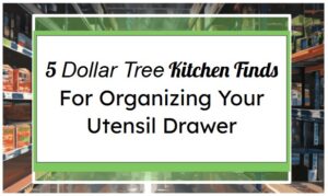 5 Dollar Tree Kitchen Finds For Organizing Your Utensil Drawer