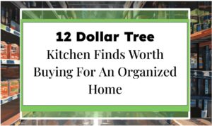 12 Dollar Tree Kitchen Finds Worth Buying For An Organized Home