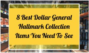 8 Best Dollar General Hallmark Collection Items You Need To See
