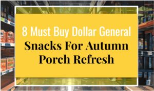 8 Must Buy Dollar General Snacks For Autumn Porch Refresh