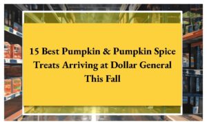 15 Best Pumpkin & Pumpkin Spice Treats Arriving at Dollar General This Fall