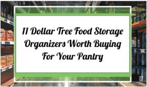 11 Dollar Tree Food Storage Organizers Worth Buying For Your Pantry