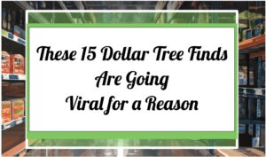 These 15 Dollar Tree Finds Are Going Viral for a Reason