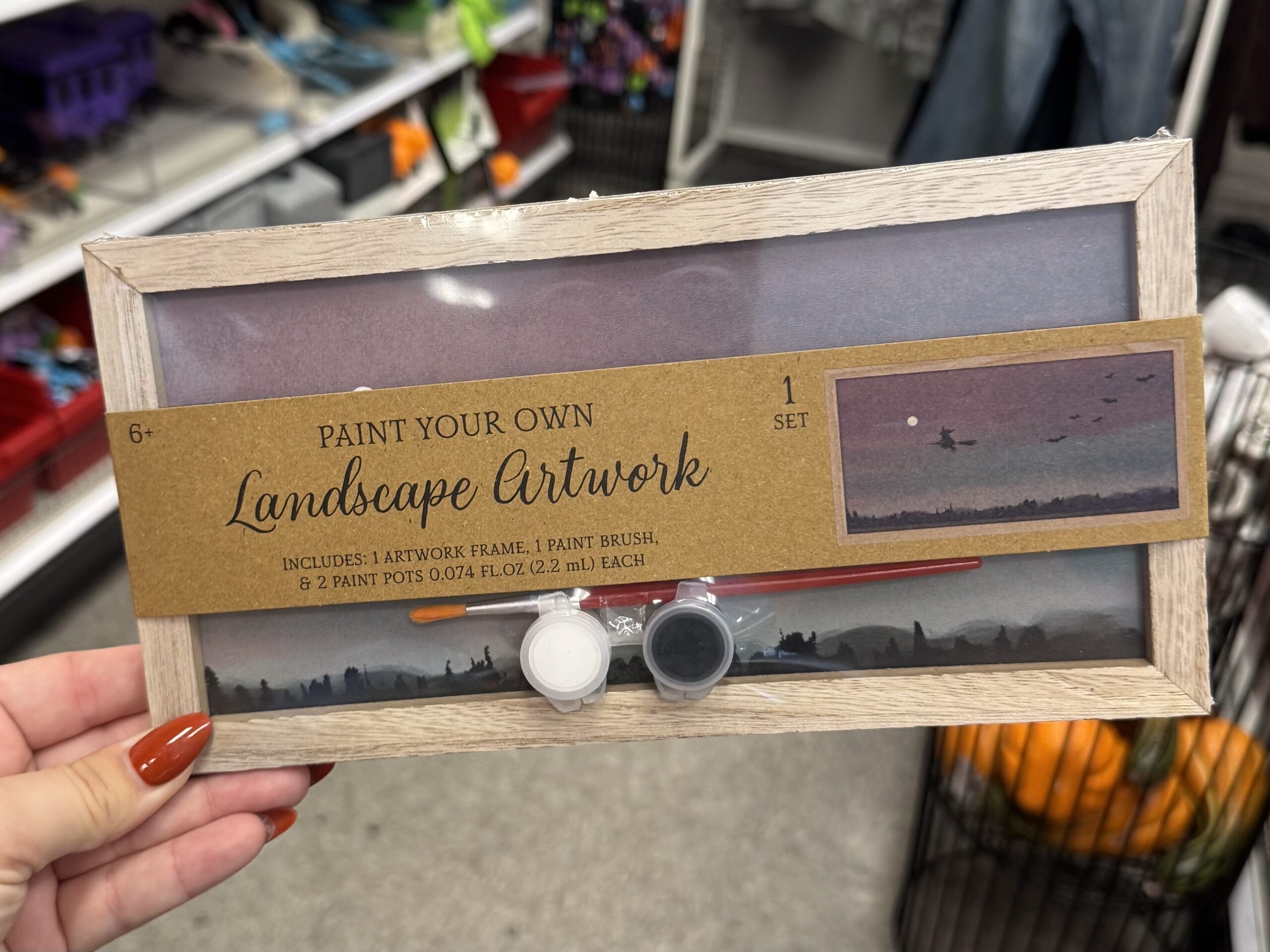 Paint Your Own Landscape Artwork - in store