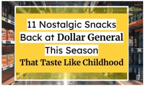 11 Nostalgic Snacks Back at Dollar General This Season That Taste Like Childhood
