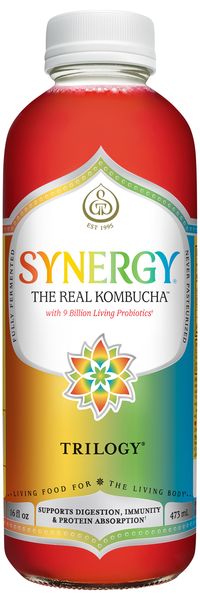 GT's Synergy Organic Trilogy Kombucha Drink