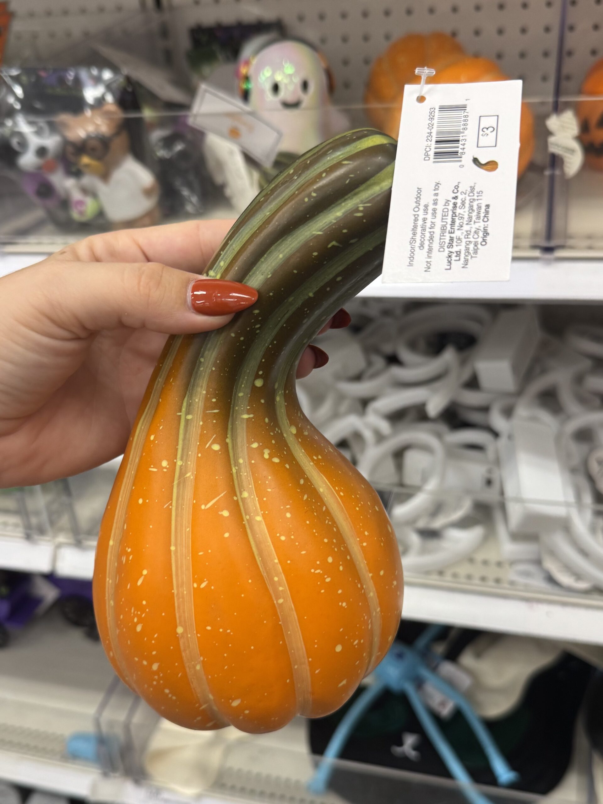 Bullseye's Playground Decorative Gourd - in store
