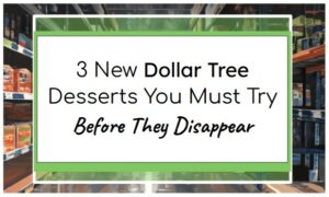 3 New Dollar Tree Desserts You Must Try Before They Disappear