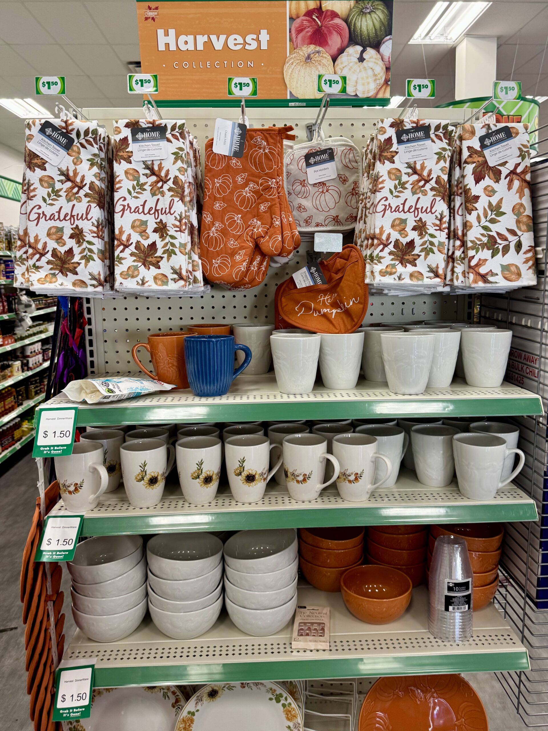Harvest Kitchen Collection - in store