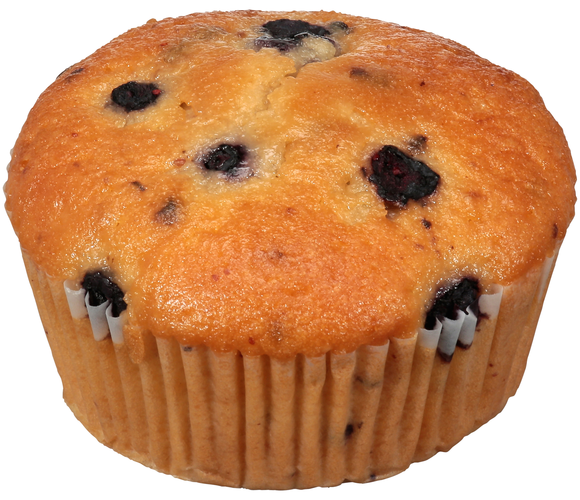 Food Lion Bakery Blueberry Muffin