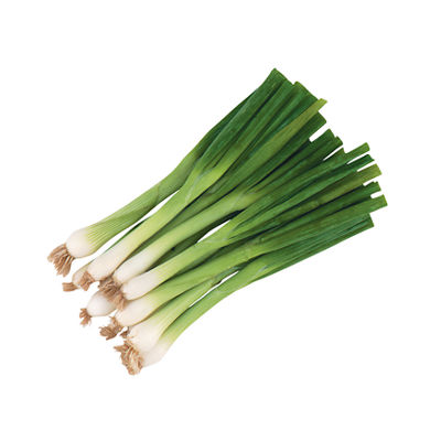 Cilantro or Green Onions, 79¢ ea.