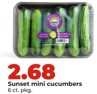 Sunset mini cucumbers