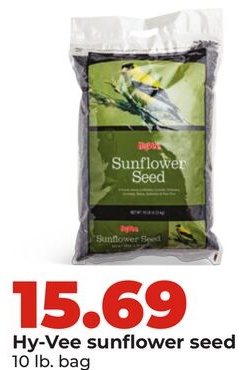 Hy-Vee sunflower seed