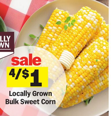 Locally Grown Bulk Sweet Corn