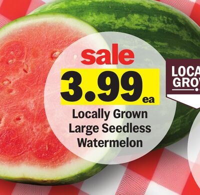 Locally Grown Large Seedless Watermelon