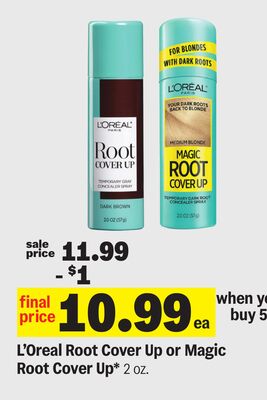 L'Oreal Root Cover Up or Magic Root Cover Up*