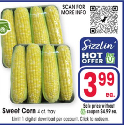 Sweet Corn