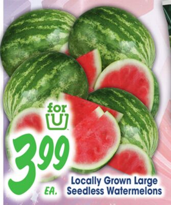 Locally Grown Large Seedless Watermelons