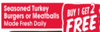 Seasoned Turkey Burgers or Meatballs