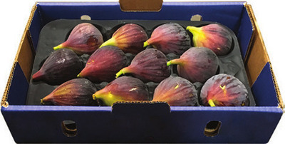 Fresh Figs Tray