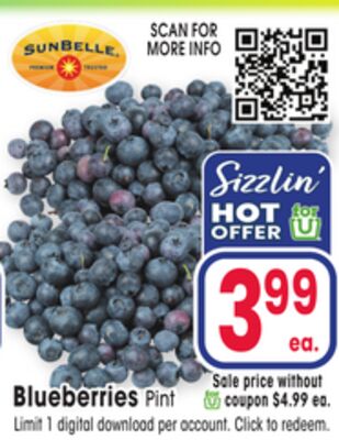 Blueberries