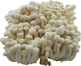 Taro Root lb. or Shimeji Mushrooms 5.29 oz.