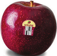 Australian Soluna Apples